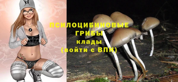 гидропоника Кукмор