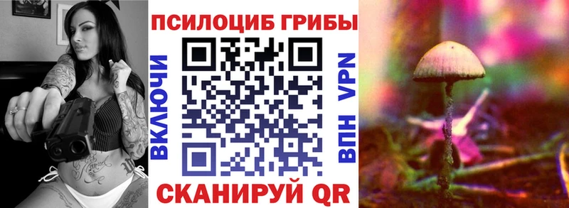 Купить где  Лосино-Петровский  Галлюциногенные грибы Cubensis 